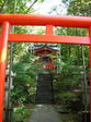 九頭竜神社の2007秋